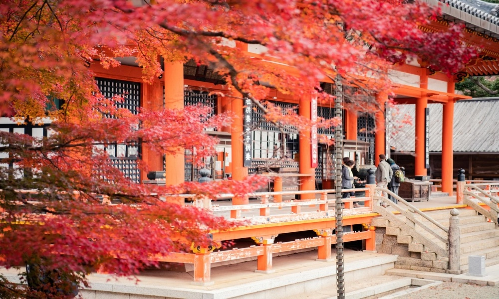 Diaporama Le Japon en Version Grand Luxe Automne